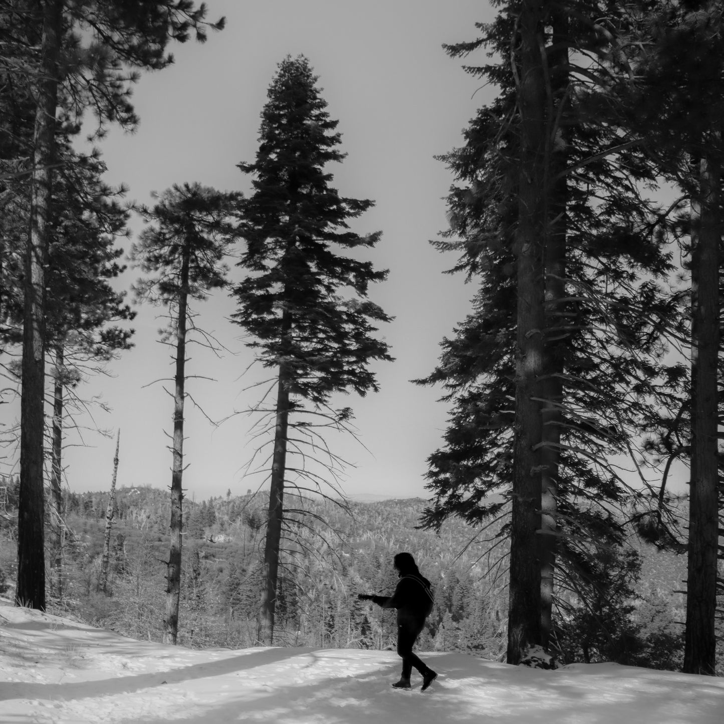 🌿 Nature Walk EP – Complete Guitar Songbook (PDF)